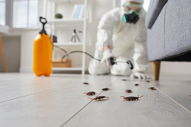 Trusted Rodent Control service in Aiken, SC - Nex Pest Control