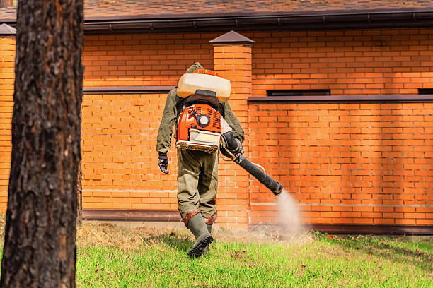 Trusted Cockroach Control service in Aiken, SC - Nex Pest Control